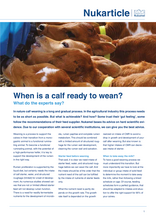 When is a calf ready to wean?