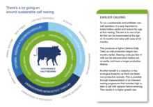 Sustainable livestock
